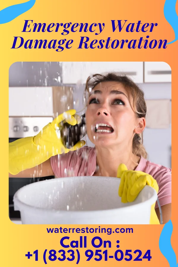 Emergency Water Damage Restoration in Danvers, MN